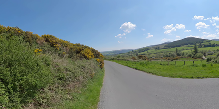 Ballyreagh Wood, Ireland