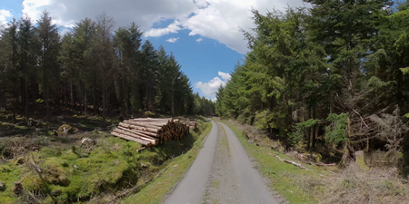 Glencree - Enniskerry, Ireland