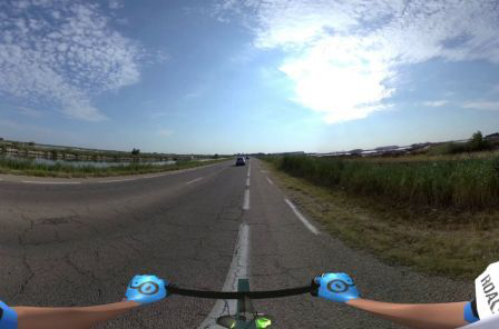Camargue