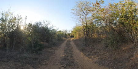 Ride in Safari, South Africa